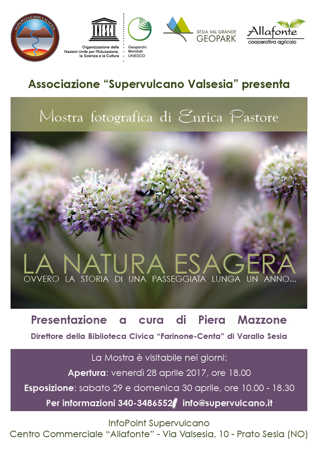 2017-04-28_enrica_pastore650